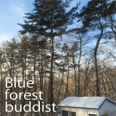 voice of the forest