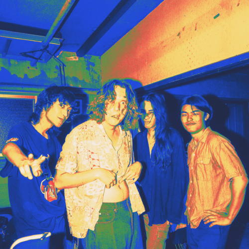 THE MEGA NUTS BUSTERS