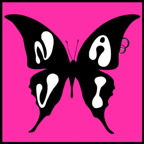 NAVI