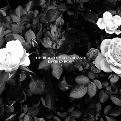 La Vie En Rose