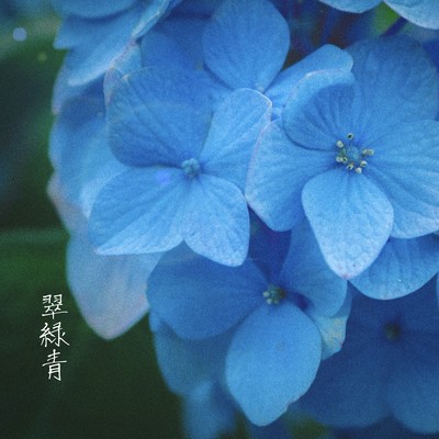 Verdant Azure