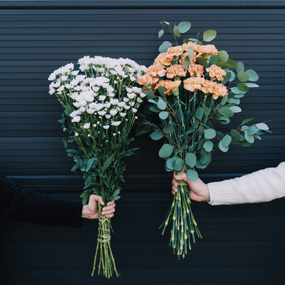 shinsei (feat. YeYe)