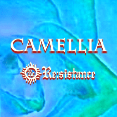 CAMELLIA