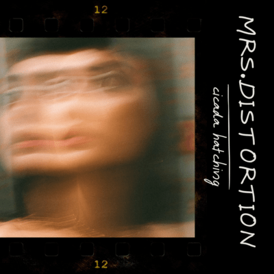 Mrs.Distortion