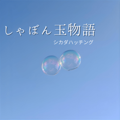 Soap Bubble Story