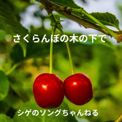 Under the cherry tree