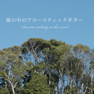 Acoustic melody in the wind (The Story)