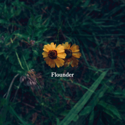 Flounder