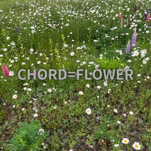 CHORD=FLOWER