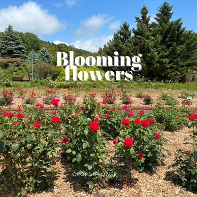 Blooming flowers