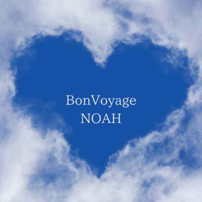Bon Voyage