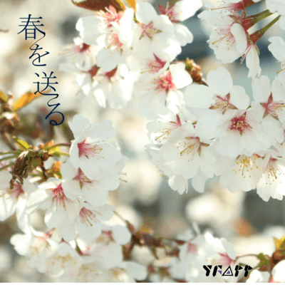 See the Spring Out (feat. Miyamai Moca)