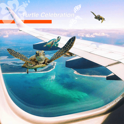 Turtle Celebration