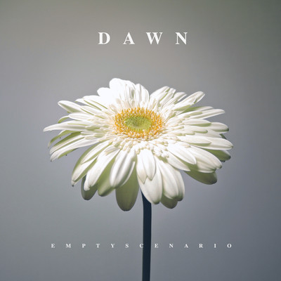 DAWN