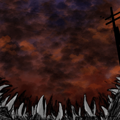Crow