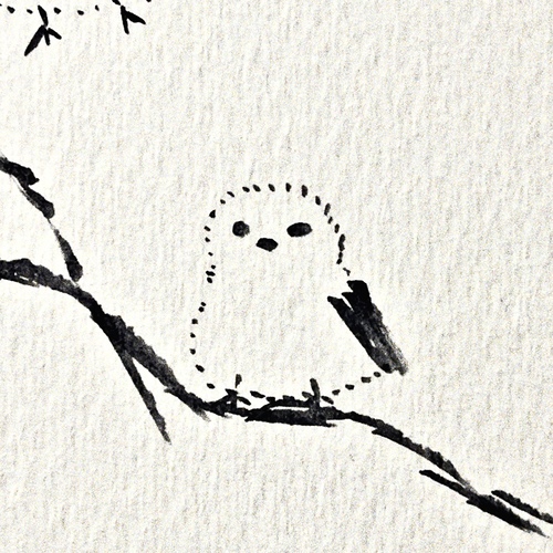 Minami Yarimizu