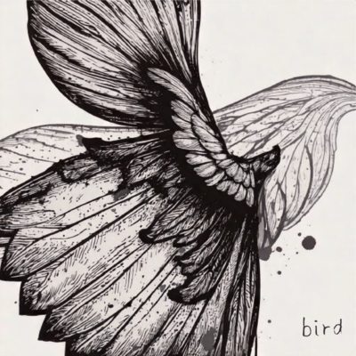 bird