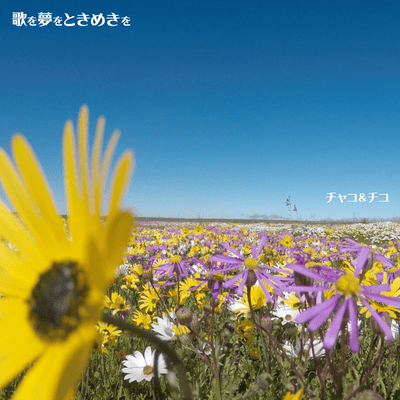 Songs, dreams and nostalgia for you