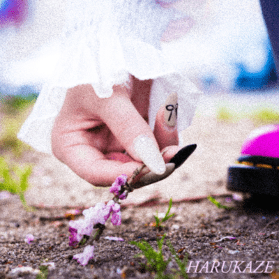 HARUKAZE