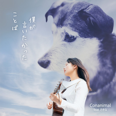 The Words I Longed to Say (feat. sakina)