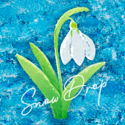 Snow Drop