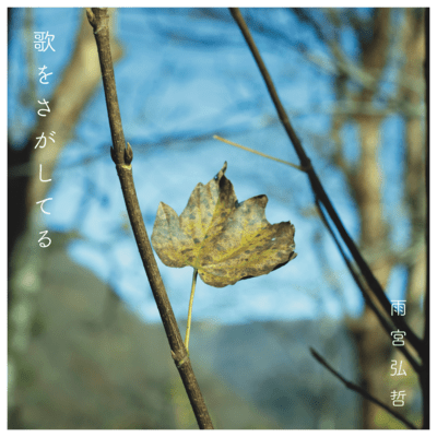 I will seek a song