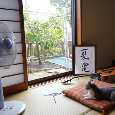 Natsu Den