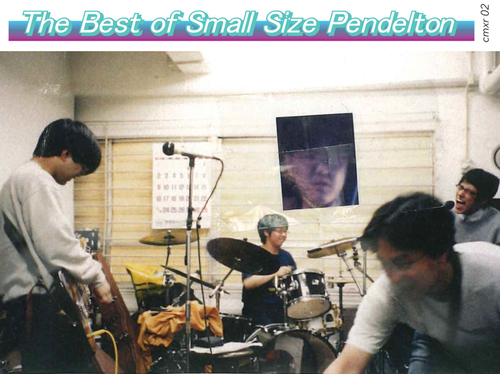Small Size Pendelton