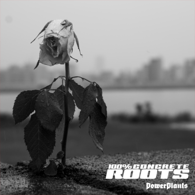 100% CONCRETE ROOTS