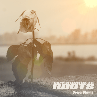 100% CONCRETE ROOTS (Original)