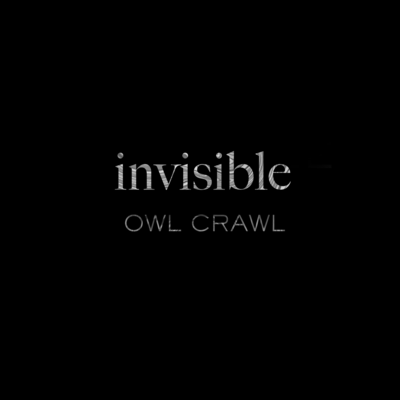 invisible (Torecon Edition)