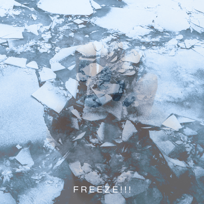 freeze!!!
