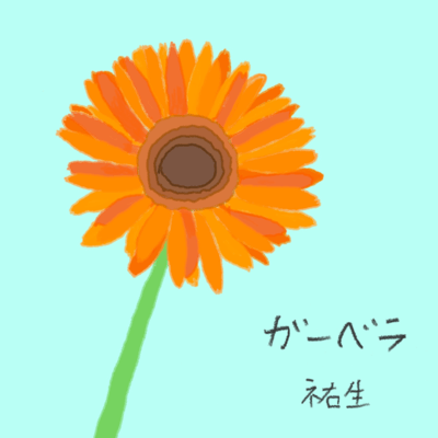 Gerbera