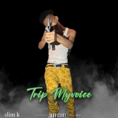 Trip MyVoice
