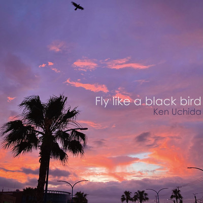 Fly like a black bird