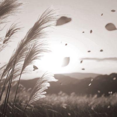 Armonife Fingerstyle Vol.2 - Memories in the Wind