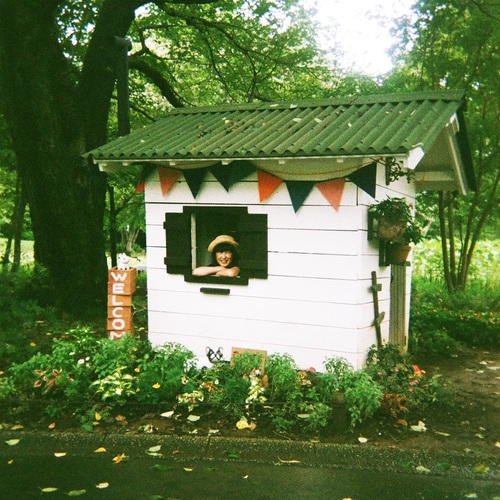 three berry icecream