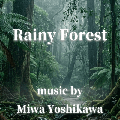 Rainy Forest
