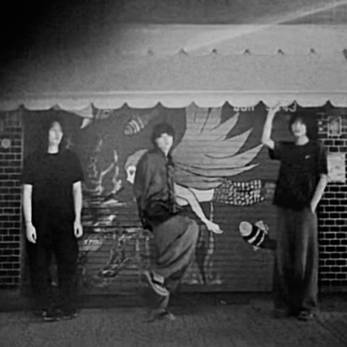 kaki no hana