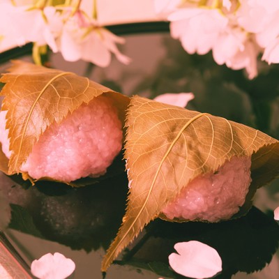Sakuramochi (Food Music)