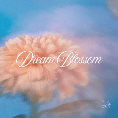 Dream Blossom