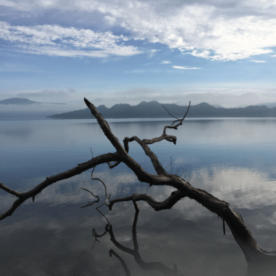 A Letter That Won't Reach You (Remix)