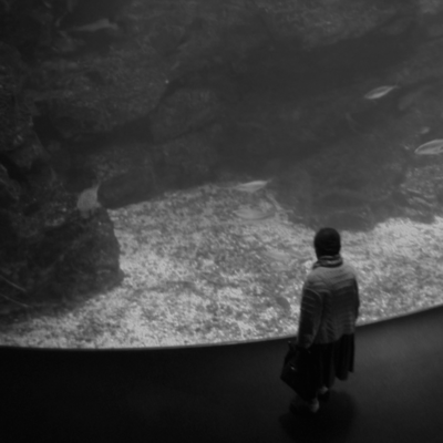 coelacanth