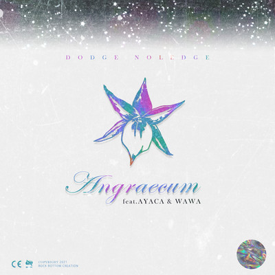 ANGRAECUM