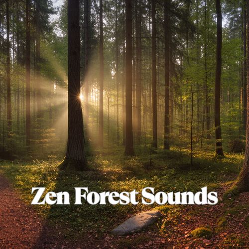 Zen Forest Sounds