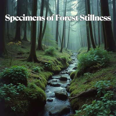 Specimens of Forest Stillness