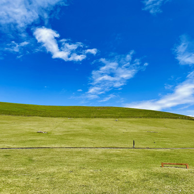 Meadow