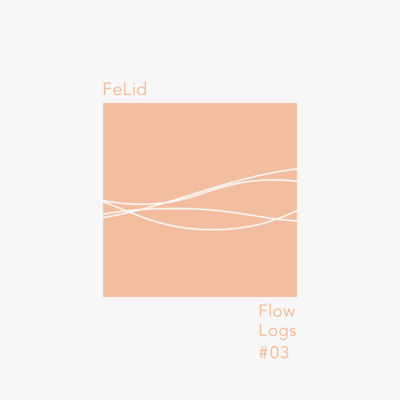 Flow Logs #03
