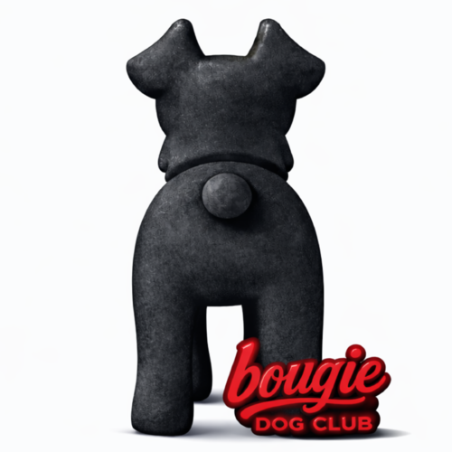 Bougie Dog Club