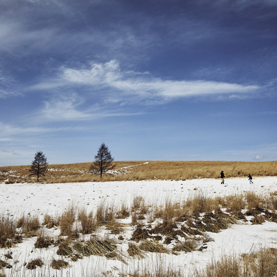 Bonfire at Dawn Soundtrack